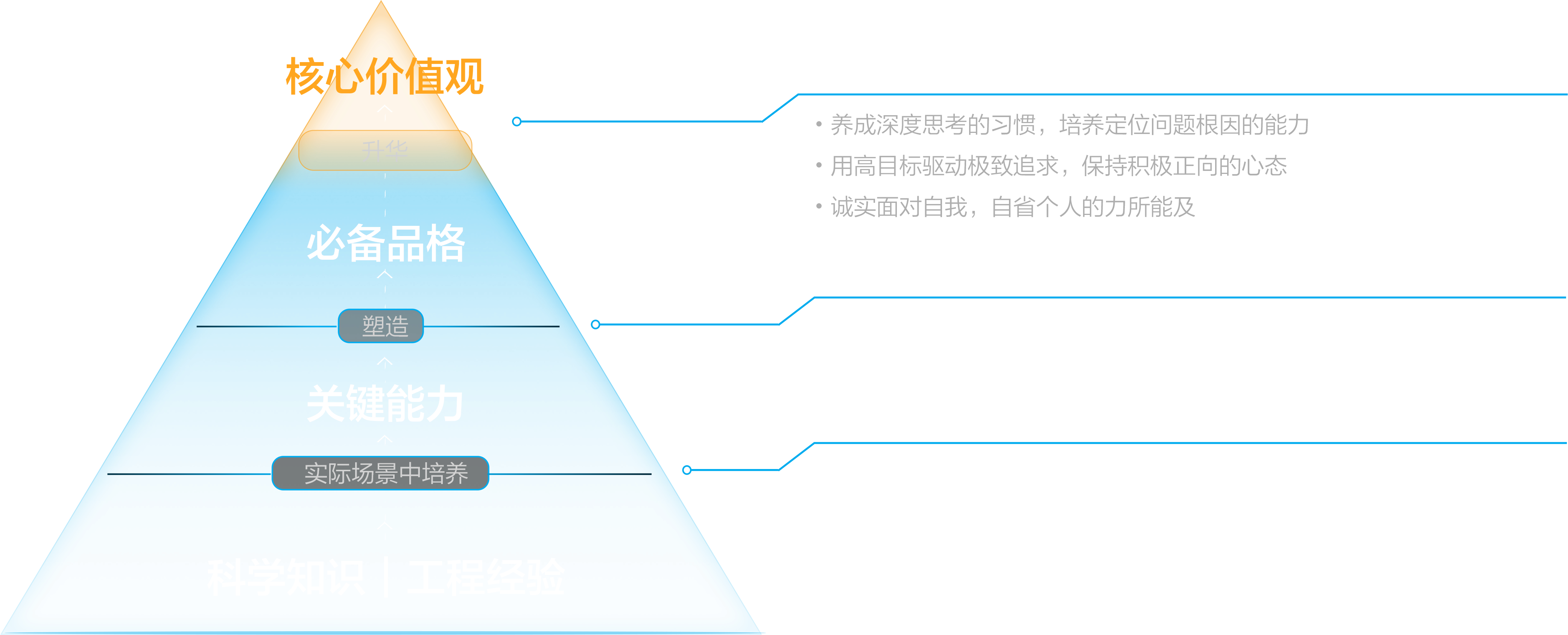 人才培养