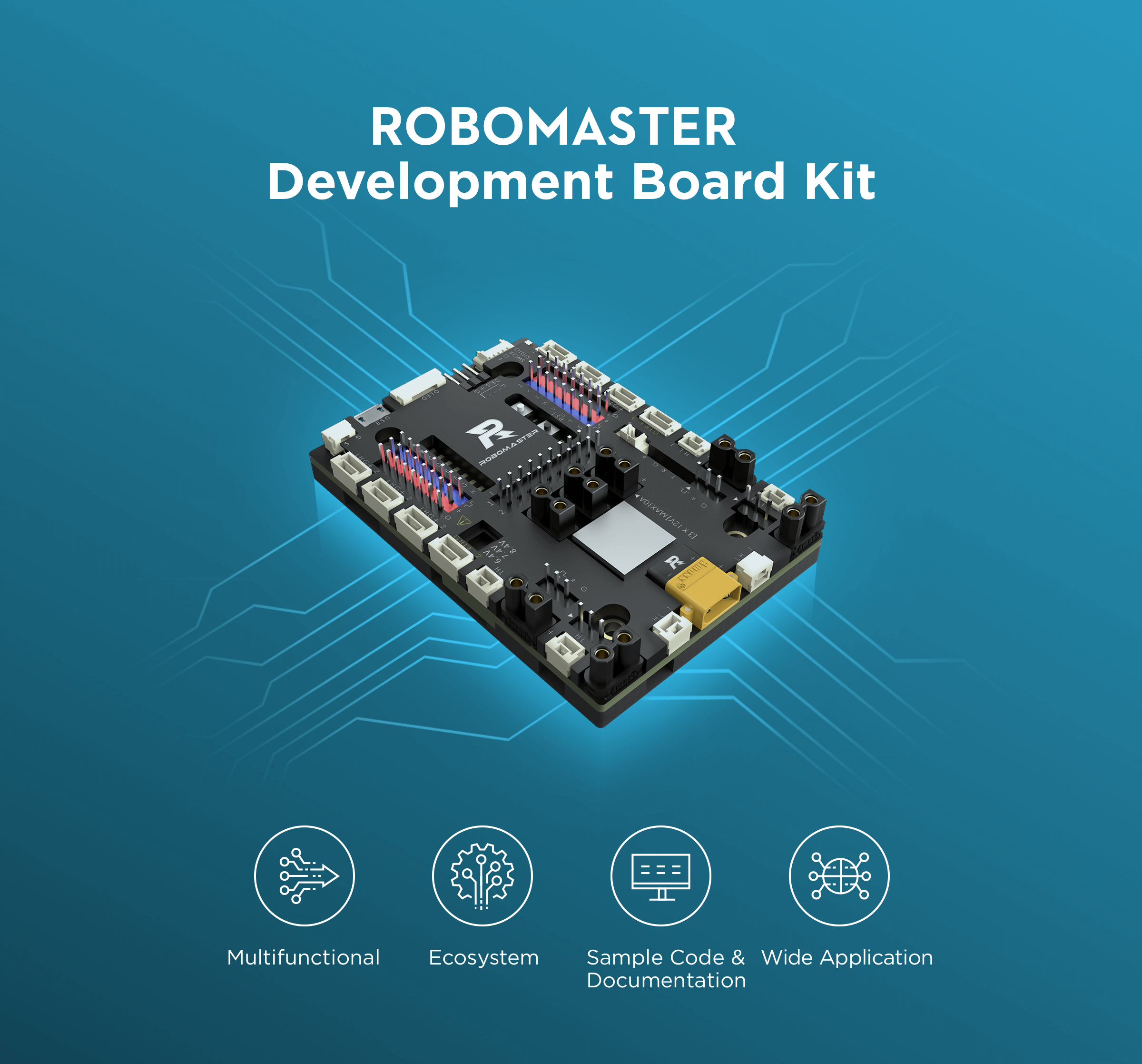 Product Picture of Development Board