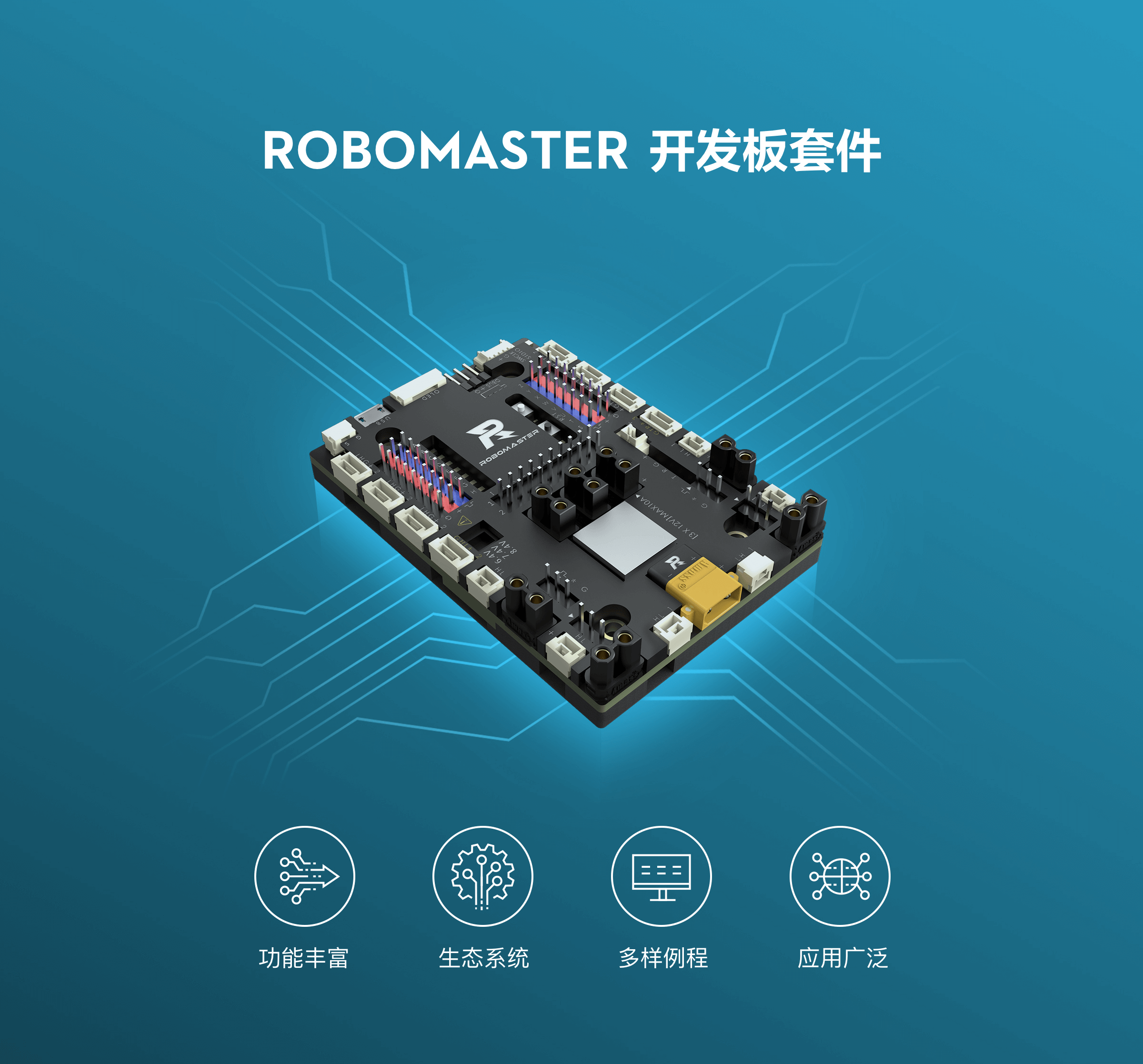 Product Picture of Development Board